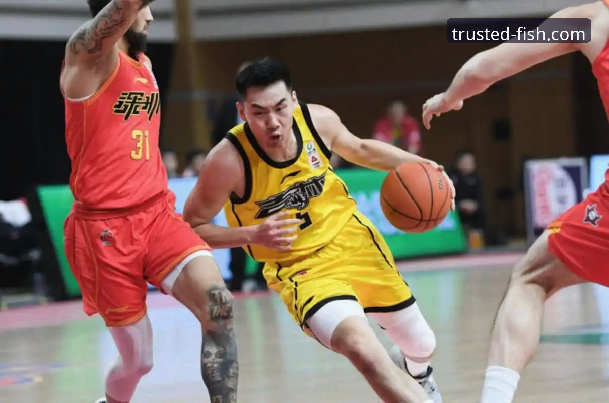 乐鱼体育贴心支持 如何从一场酣畅淋漓的CBA大胜中,洞悉冠军球队的战术密码?