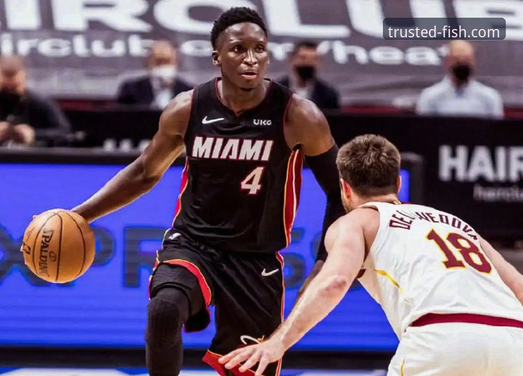 乐鱼体育品牌介绍 乐鱼体育平台NBA观赛体验完整指南:以湖人vs步行者为例