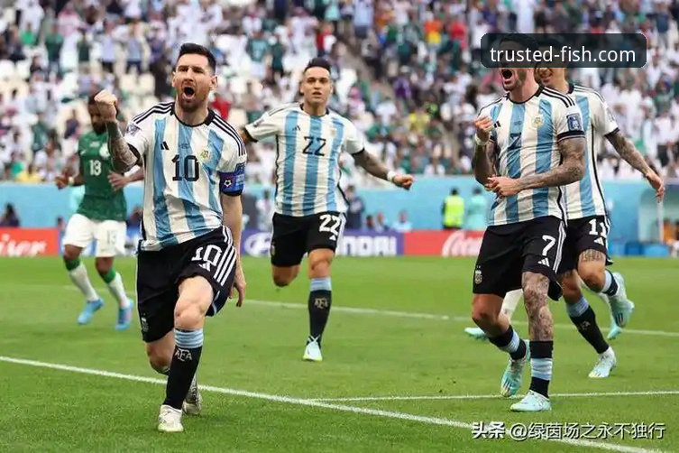 乐鱼体育注册 揭秘阿根廷世界杯前折损新星的背后:一个关于伤病与机遇的体育故事